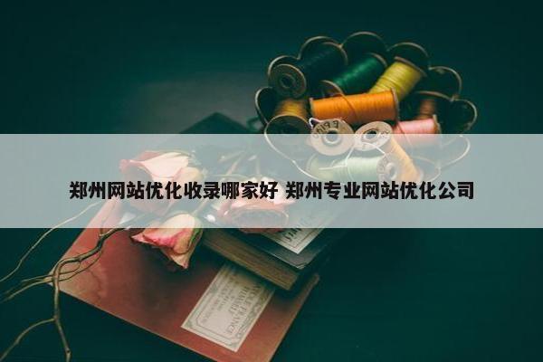 郑州网站优化收录哪家好 郑州专业网站优化公司