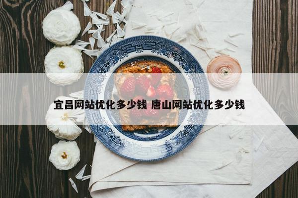 宜昌网站优化多少钱 唐山网站优化多少钱